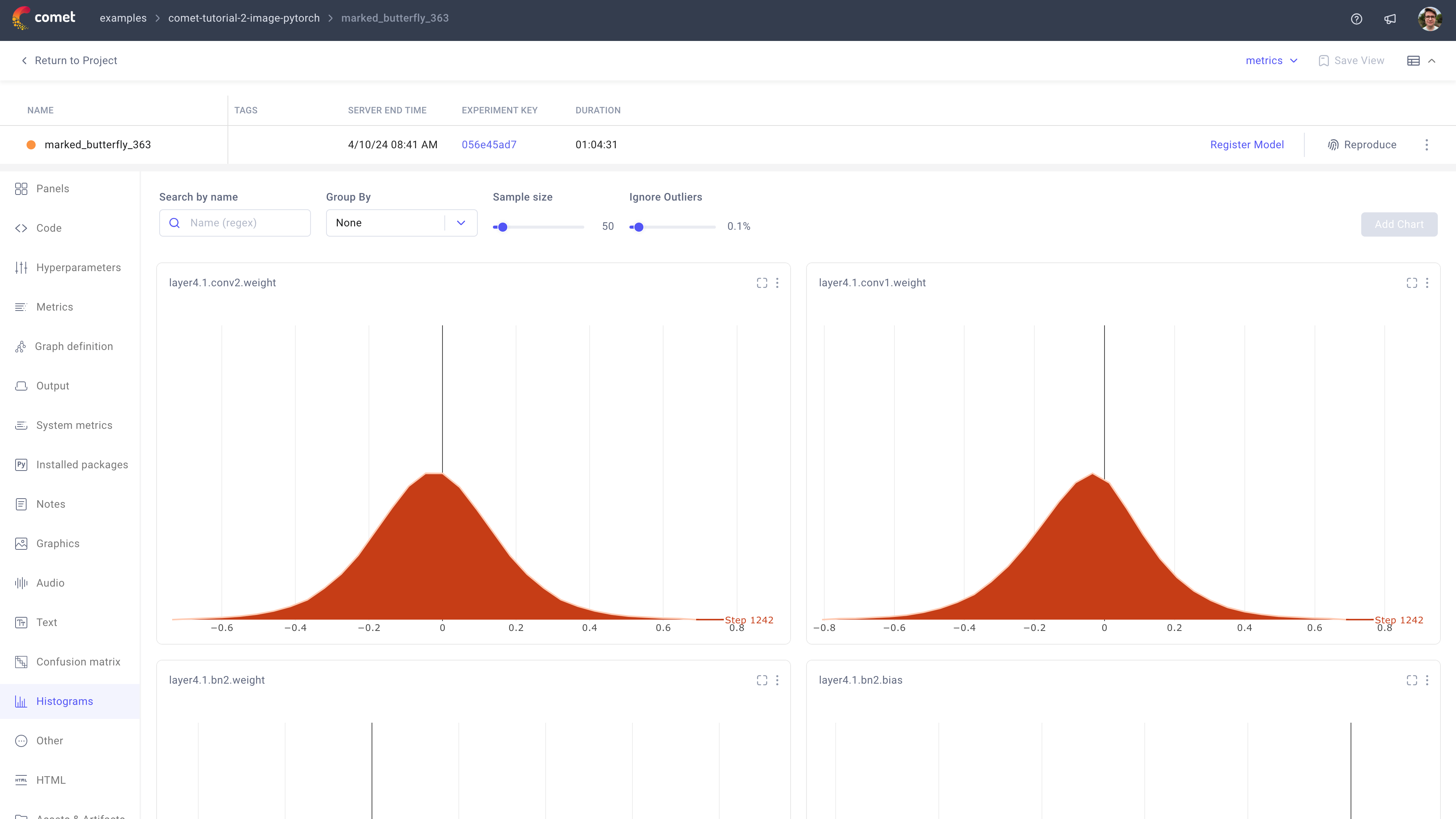Comet Experiment Management - Single Experiment Page: Histograms tab